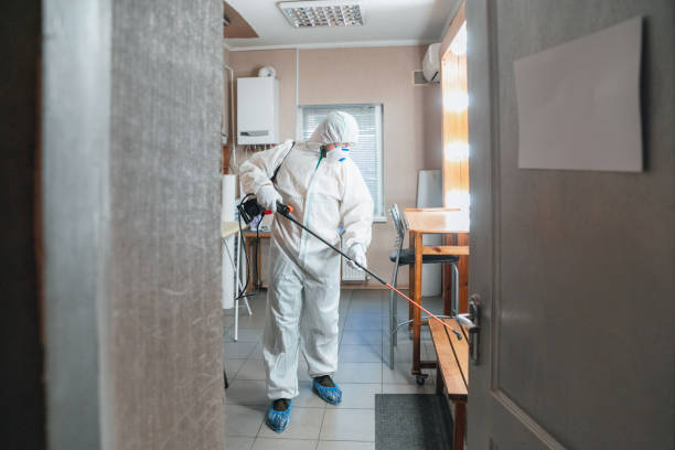  Bamberg, SC Mold Removal Pros