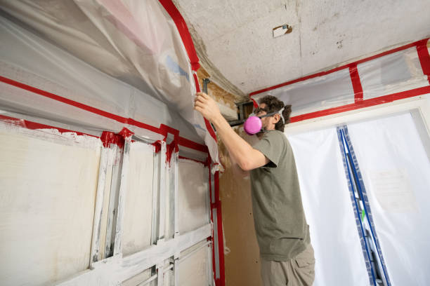 Best Mold-Related Health Consultation  in Bamberg, SC