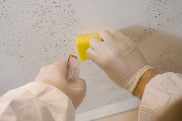 Best Air Quality Testing for Mold Spores  in Bamberg, SC