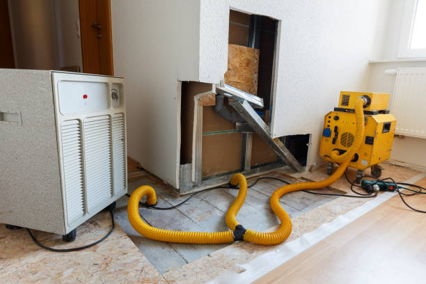 Best Emergency Mold Remediation  in Bamberg, SC